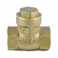 Клапан обратный VCS3232P-T 1/2? Ду15 Ру16 резьбовой пружинный корпус - нержавеющая сталь 316 диск - нержавеющая сталь 316 уплотнение - PTFE купить в Рязани